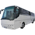 buss.jpg
